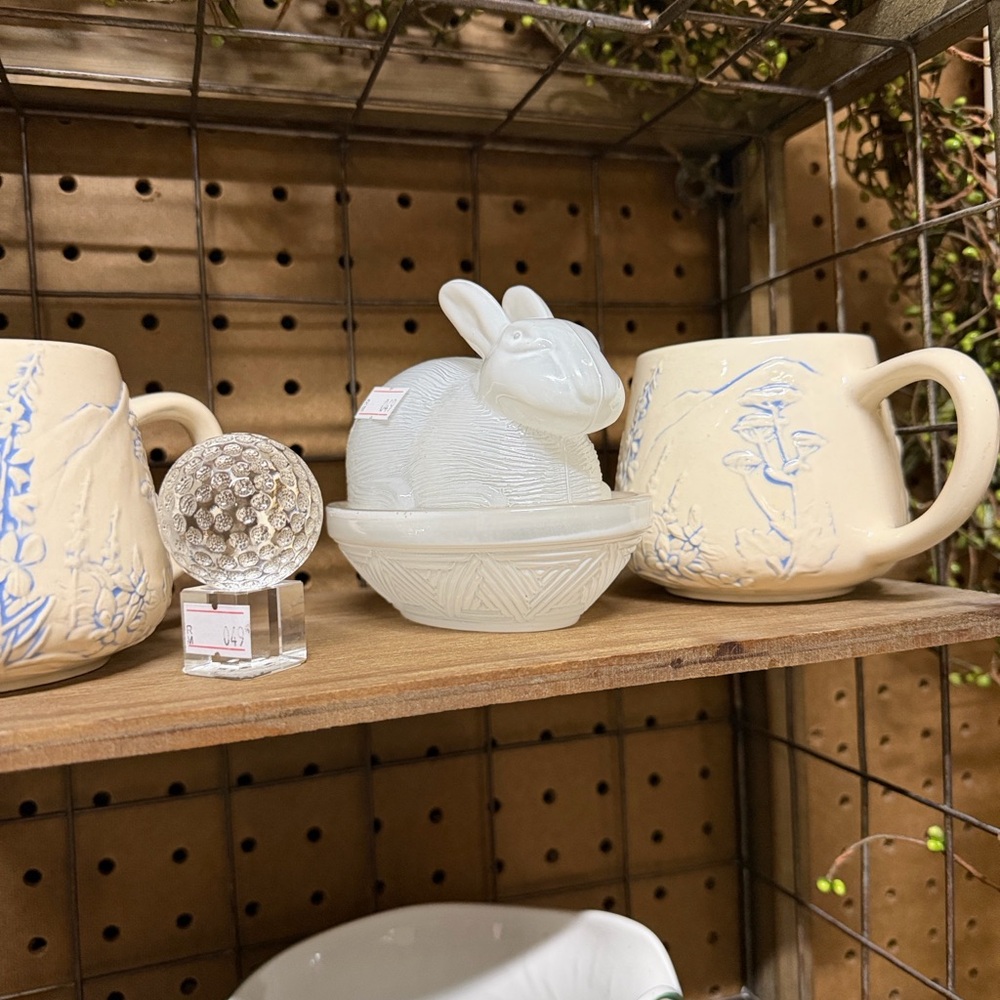 Cream and White Rabbit On Nest